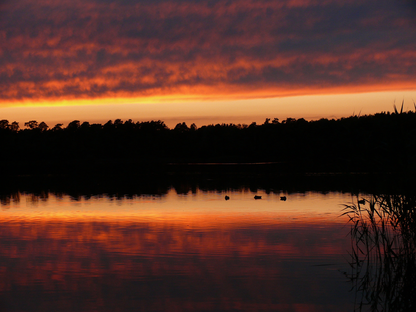 Zeschsee - an einem Abend im Juli - Szenerie 1