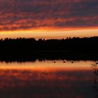 Zeschsee - an einem Abend im Juli - Szenerie 1