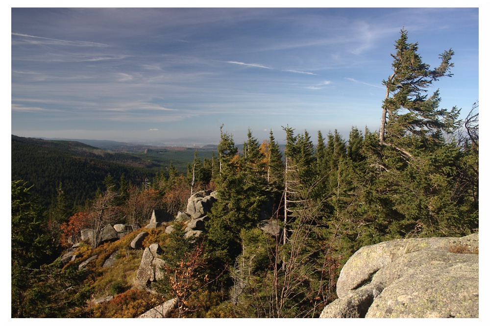 Zeterklippe