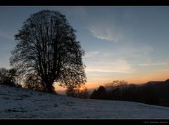 Zeuge in der Zeit