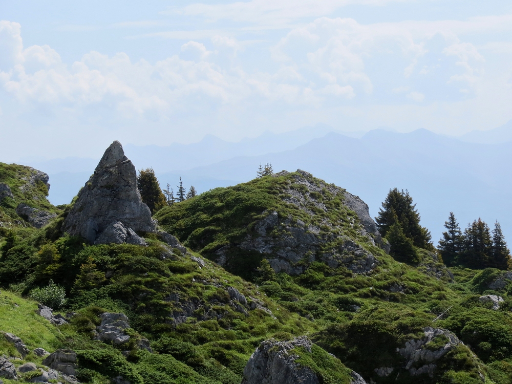 Zeugen eines vor Urzeiten statt gefundenen Bergsturzes