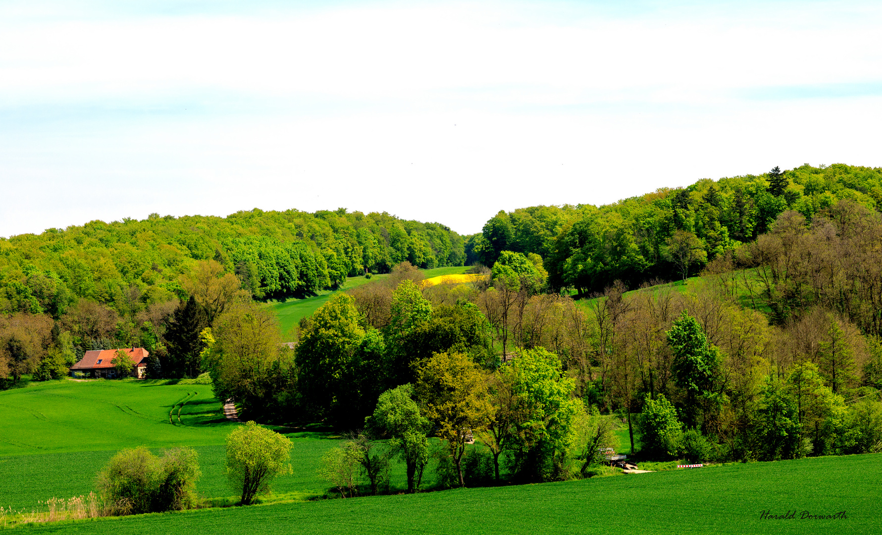 Zeutern im Frühling