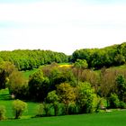 Zeutern im Frühling