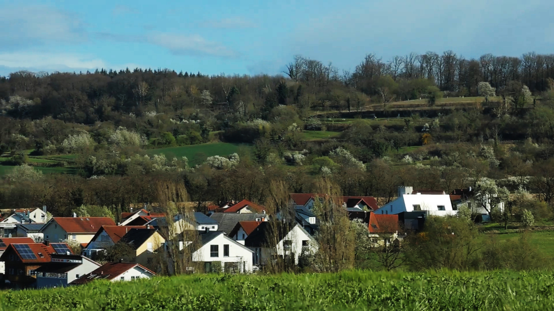 Zeutern im Frühling