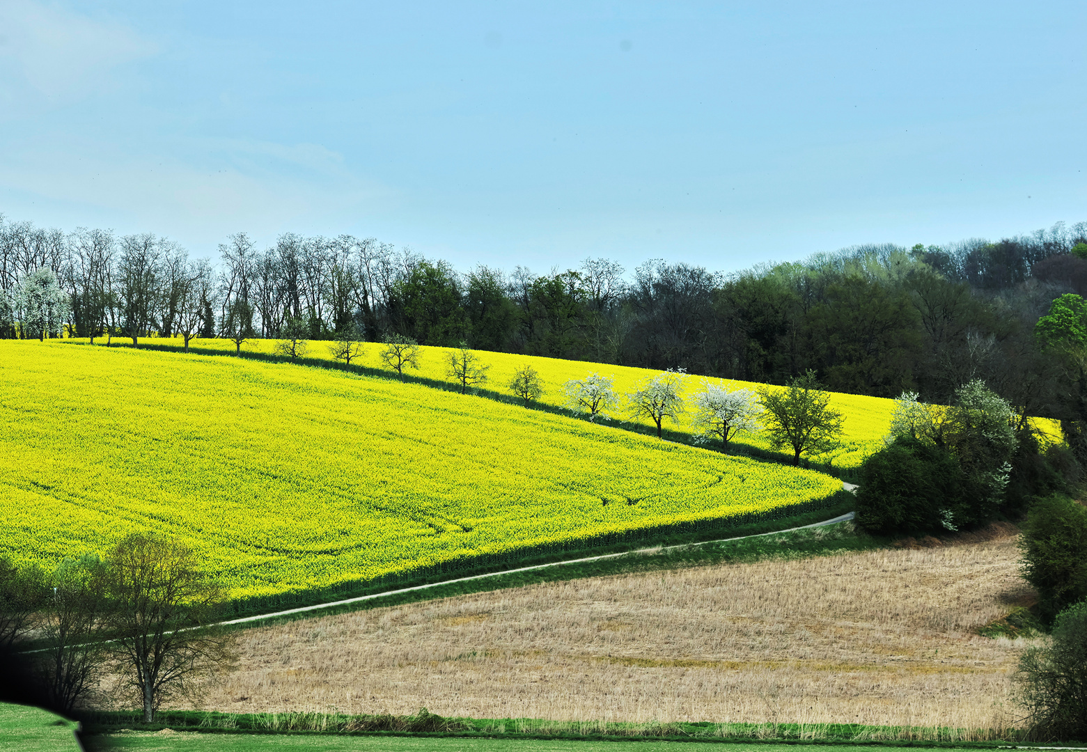 Zeutern im Frühling 2024