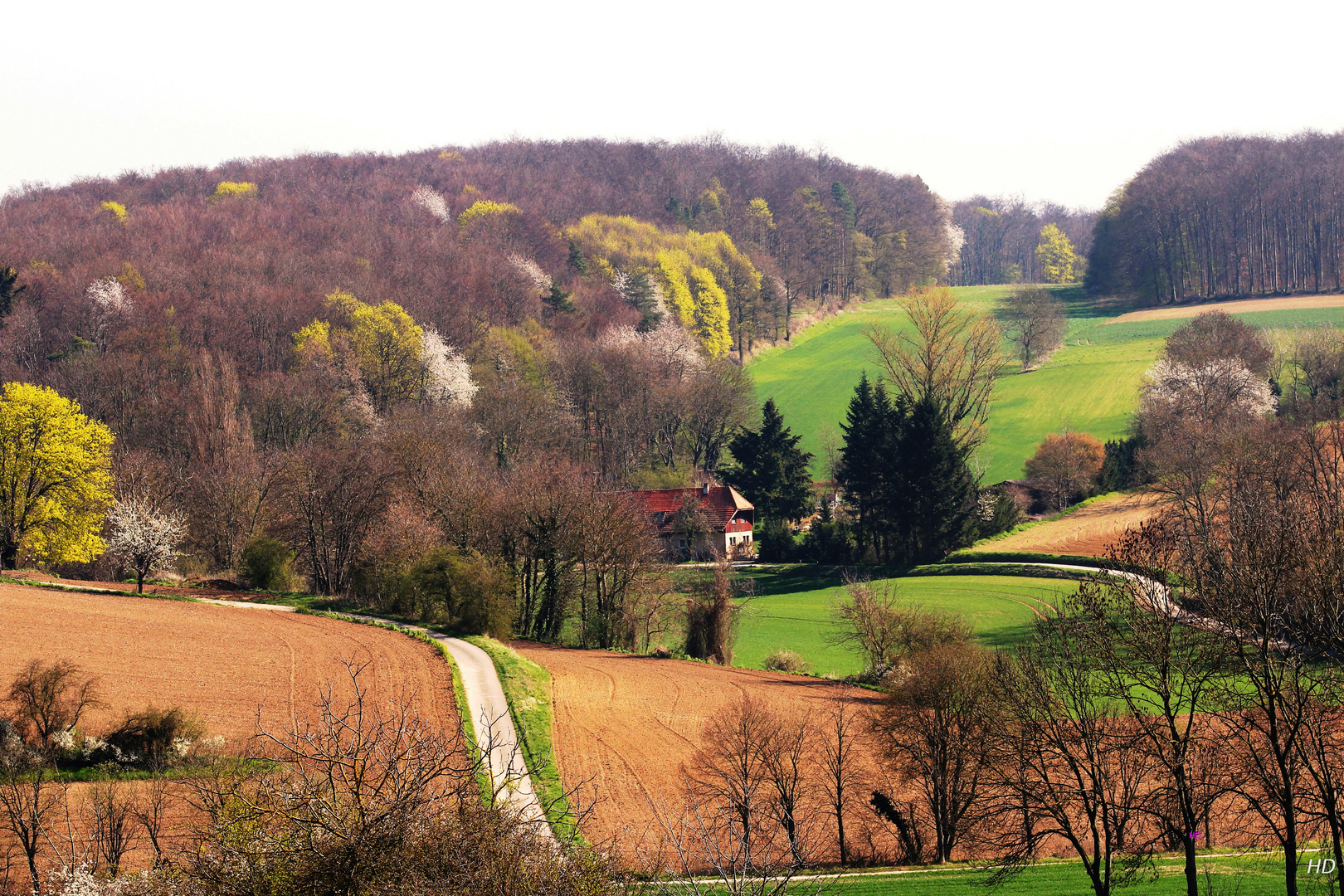 Zeutern im Frühling