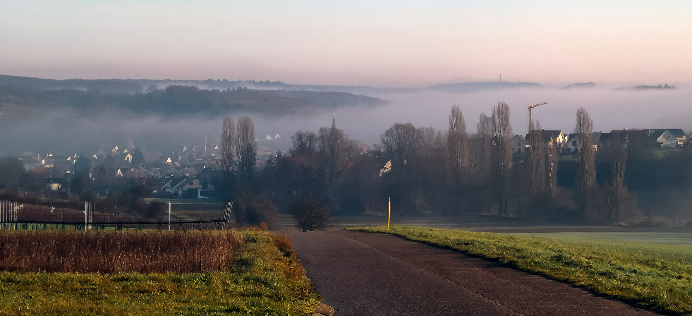 Zeutern im Nebel