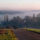 Zeutern im Nebel