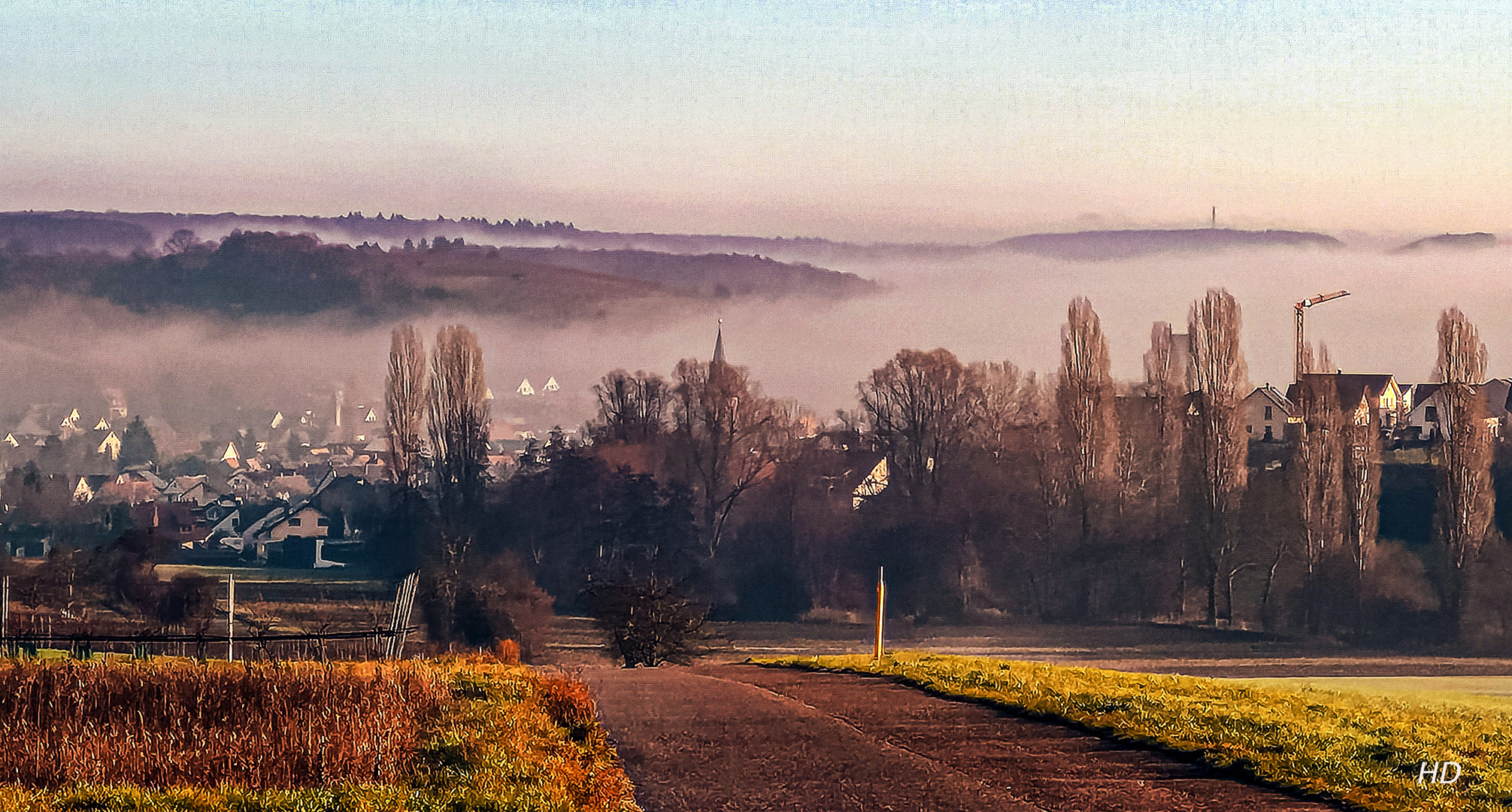 Zeutern im Nebel