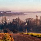 Zeutern im Nebel