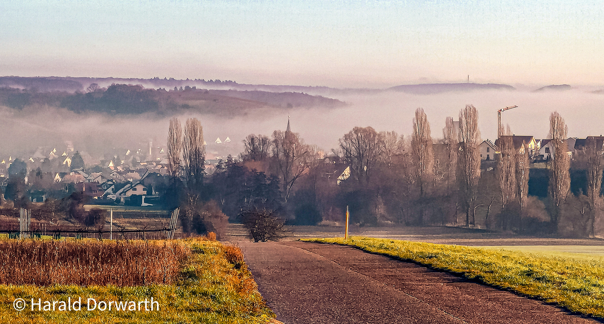 Zeutern, scharfer Nebel