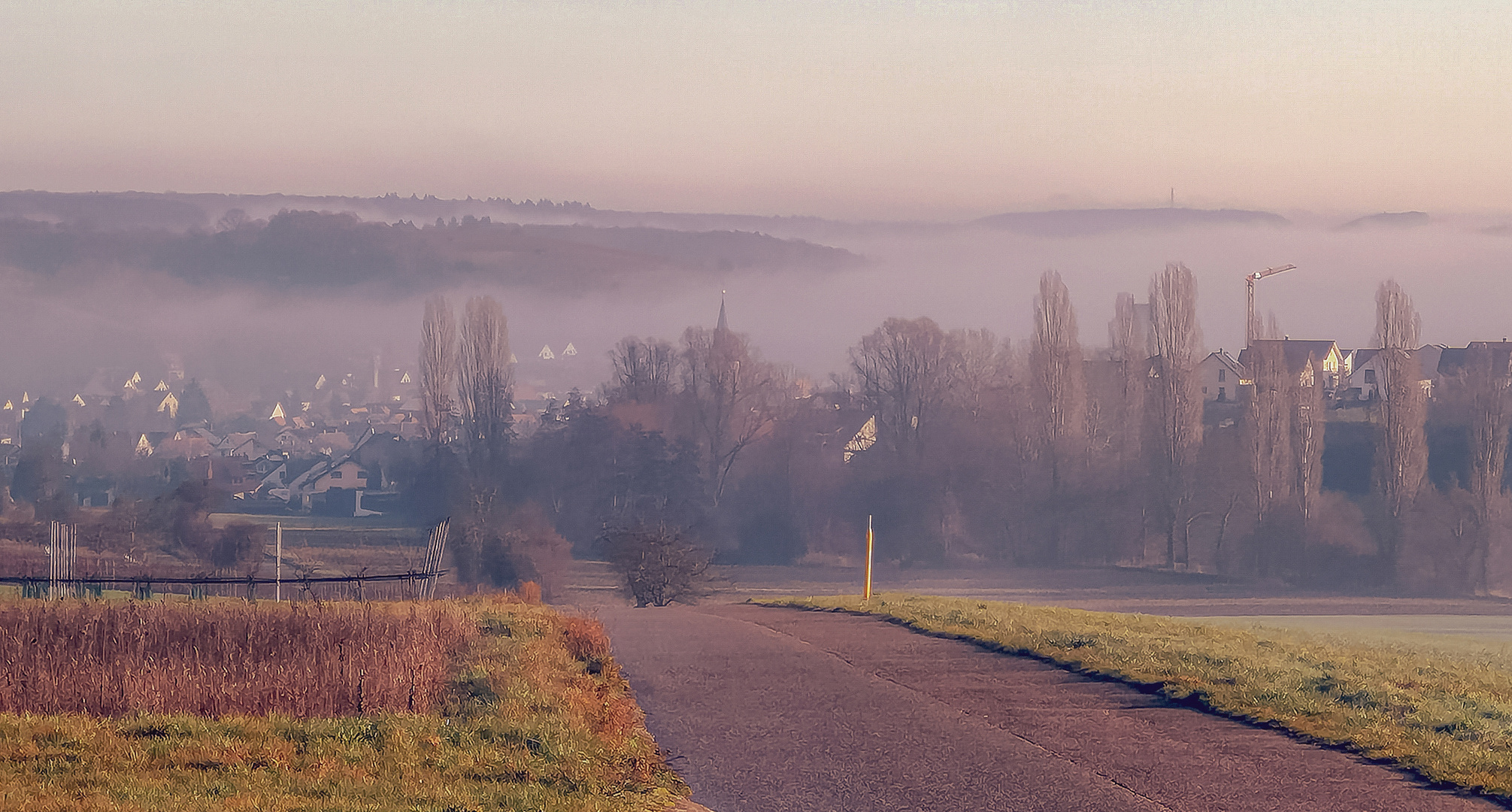 Zeutern, weicher Nebel