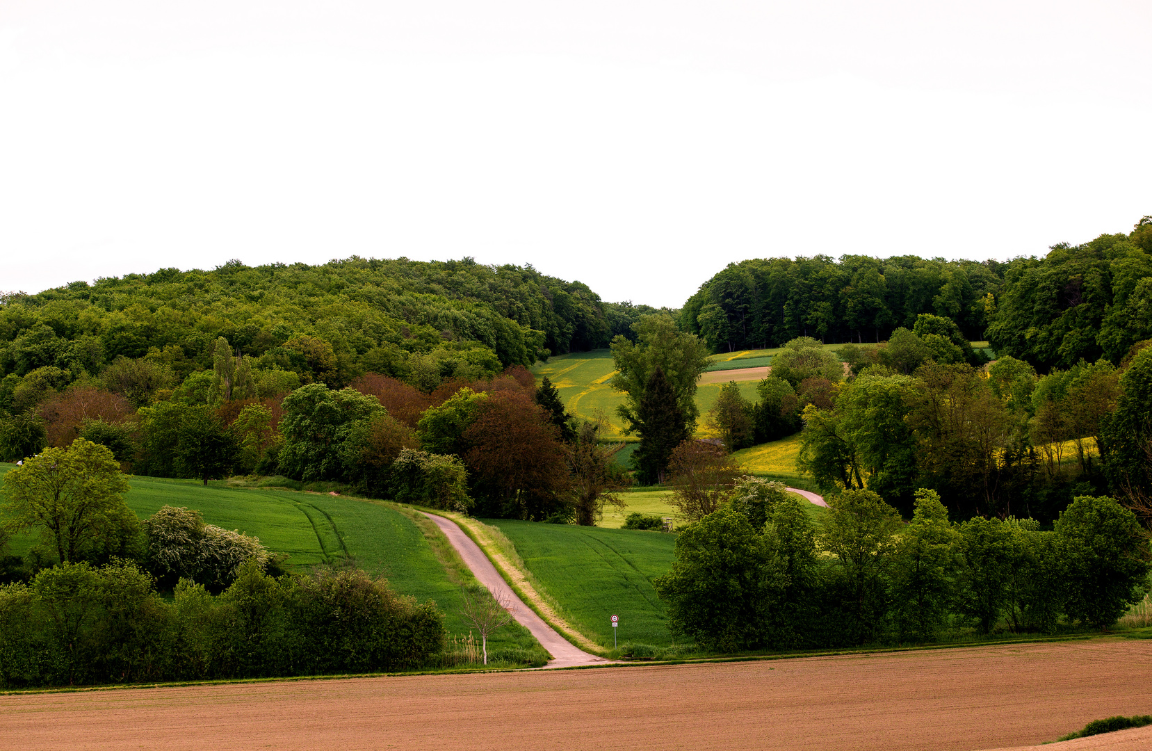 Zeuterner Kraichgaulandschaft