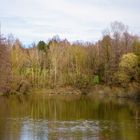 Zeuterner See im Frühling