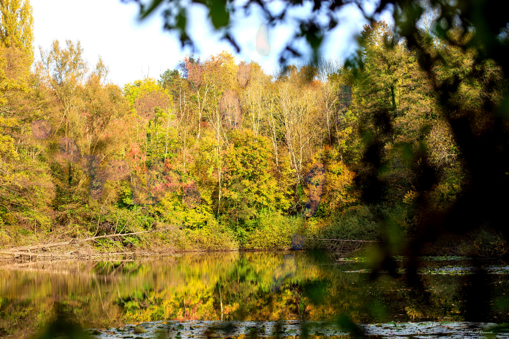 Zeuterner See im Spätherbst