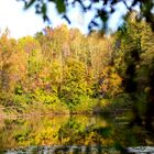 Zeuterner See im Spätherbst