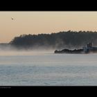 Zeuthener See im Morgennebel