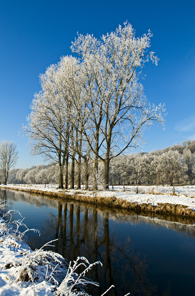 zezee