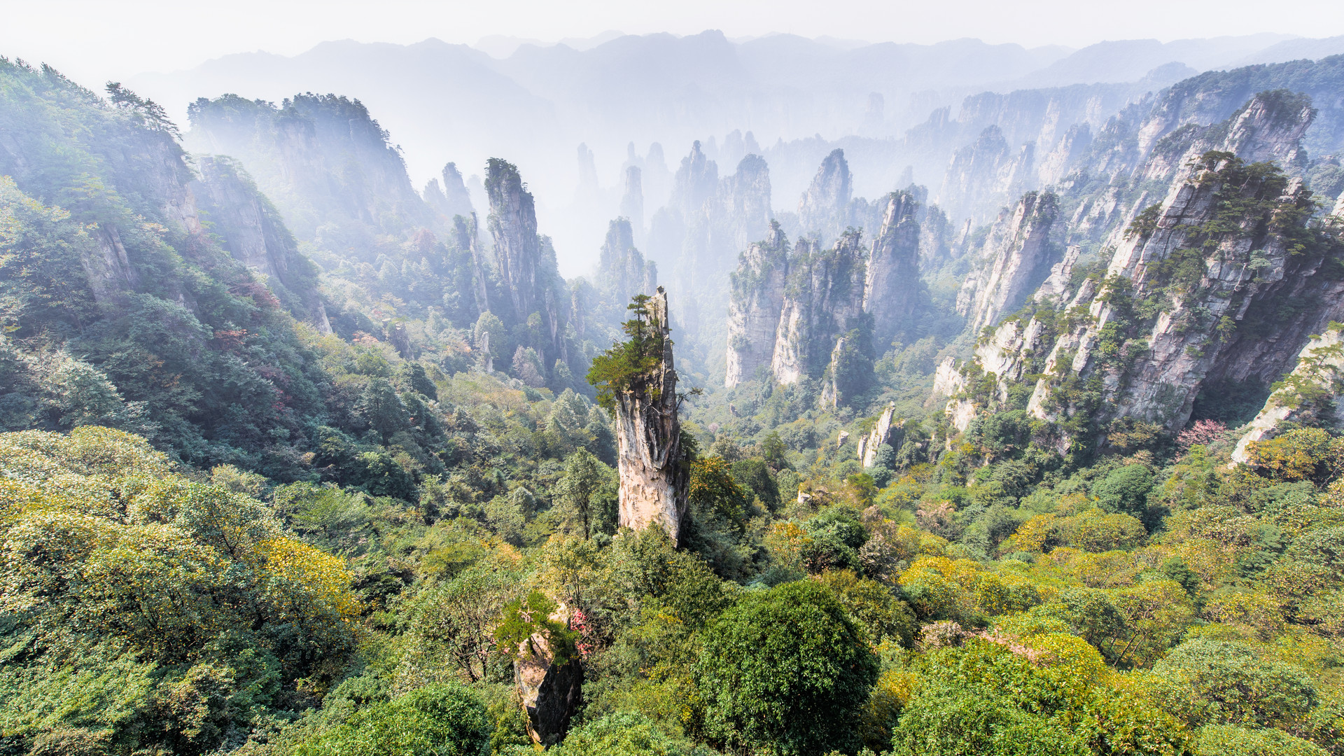 Zhangjiajie Foto Bild Asia China Landschaft Bilder Auf Fotocommunity