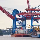 Zhen Hua 26