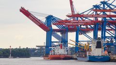 Zhen Hua 26