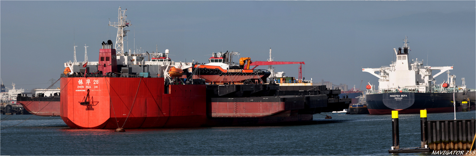 ZHEN HUA 28 (4) / Heavy Lift Vessel / Rotterdam