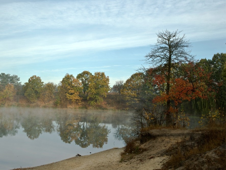 Zhitomir region