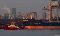 ZHONG MAY /  Bulk Carrier / Rotterdam