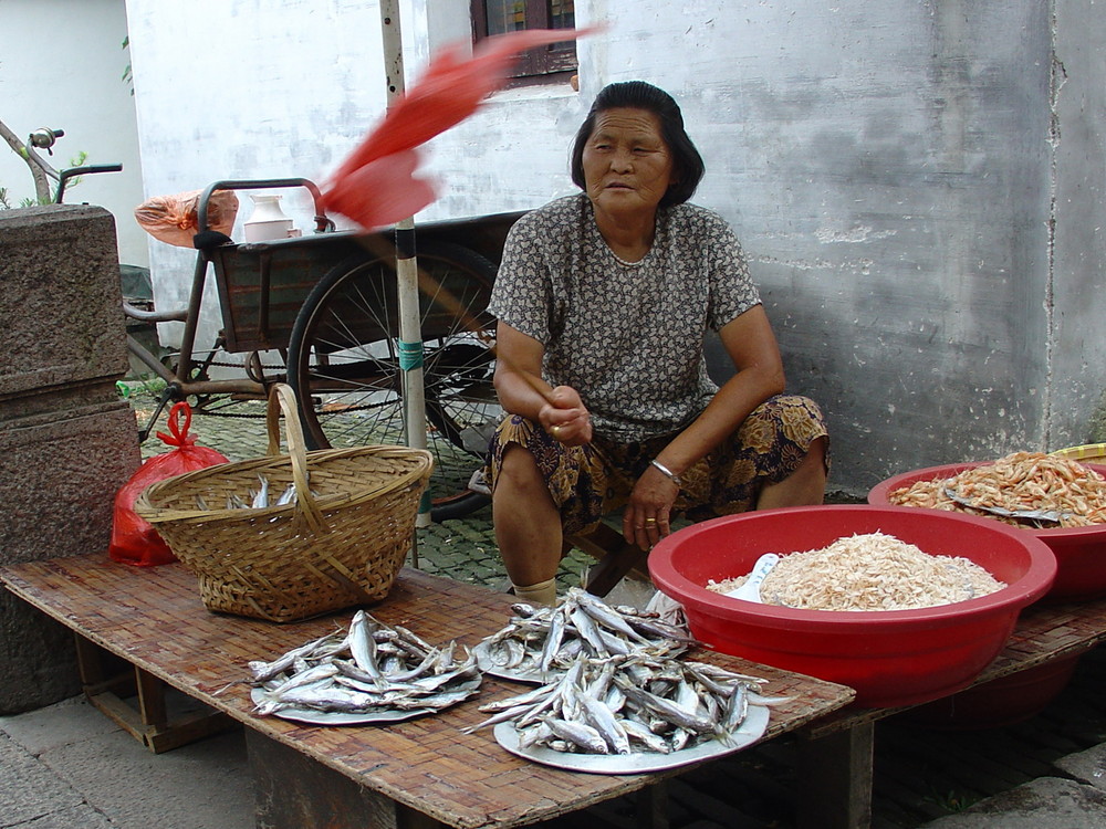 Zhouzhuang (relaod)