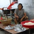 Zhouzhuang (relaod)