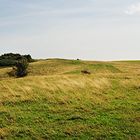 « Zicker Berge Halbinsel Mönchgut 360° »