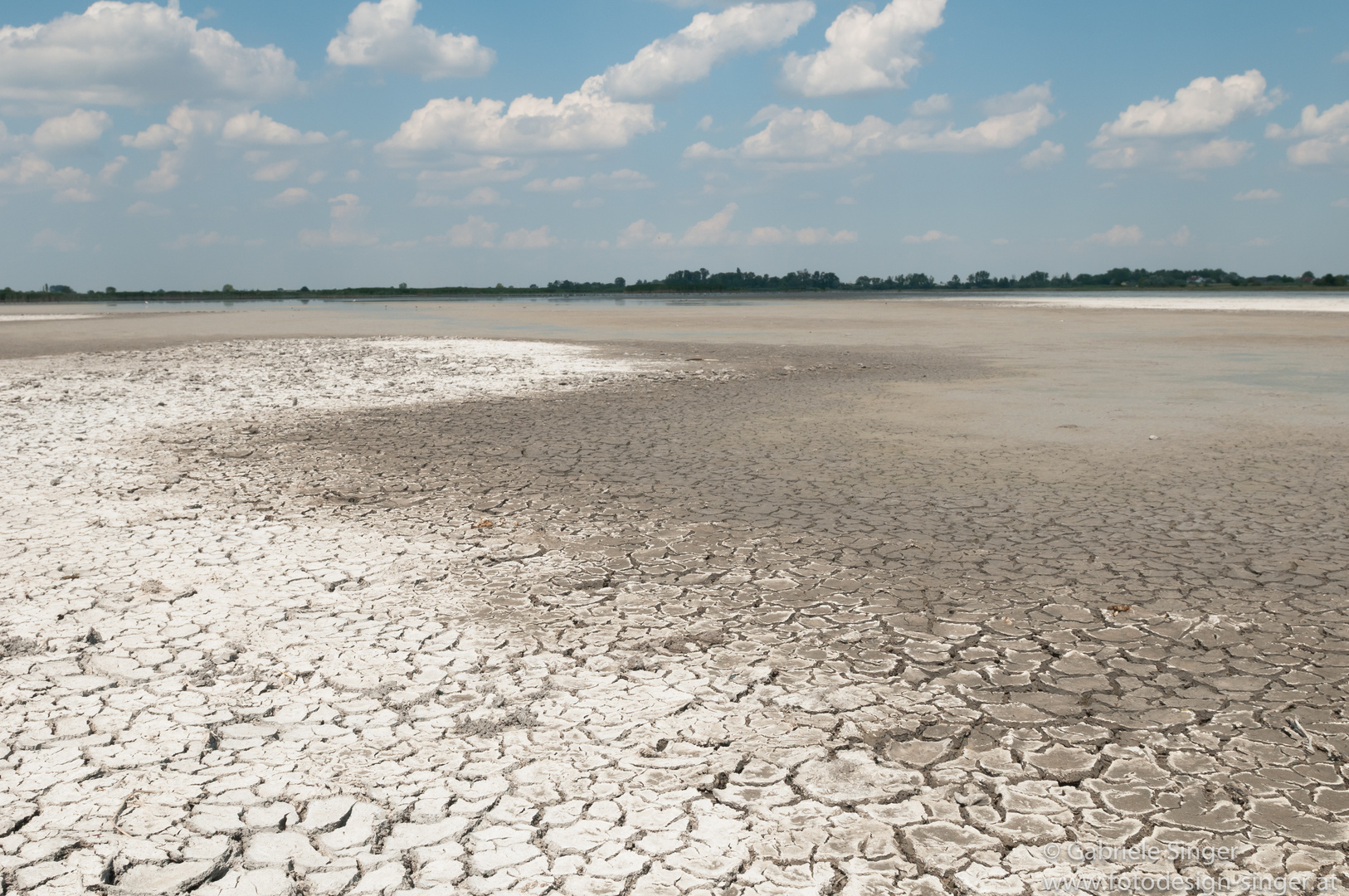 Zicklacke im Nationalpark Seewinkel, Burgenland