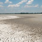 Zicklacke im Nationalpark Seewinkel, Burgenland