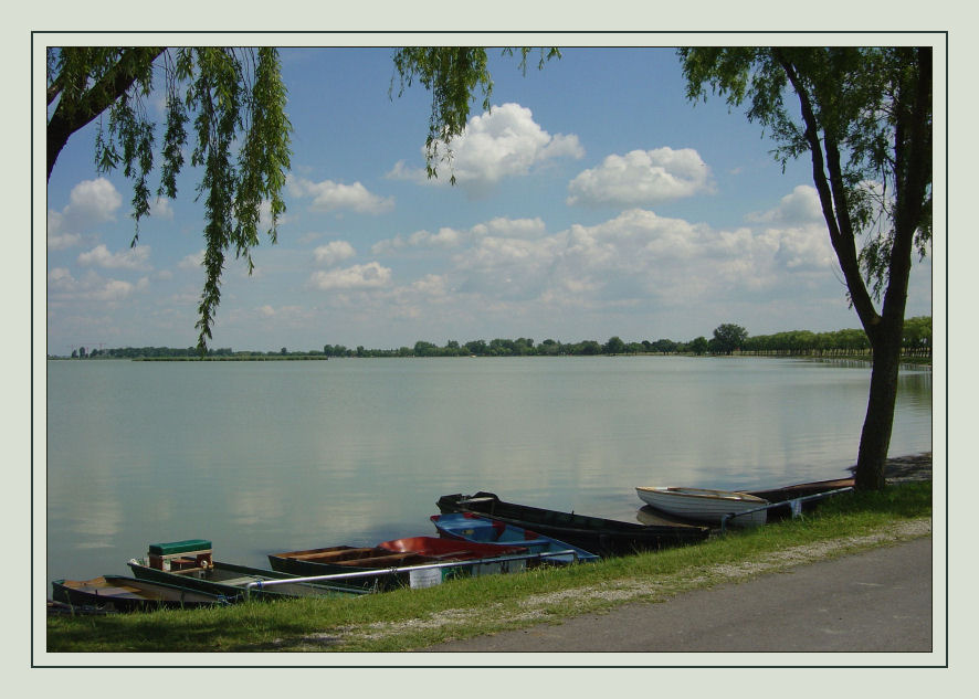 Zicksee-Idylle Burgenland! Diesmal waagrecht!