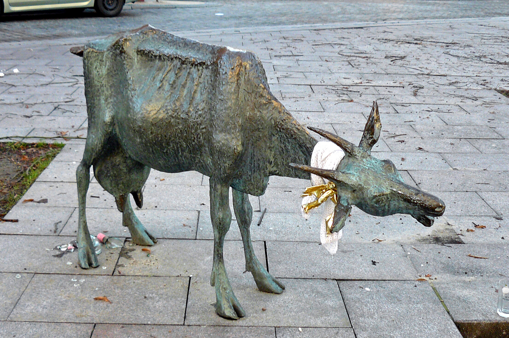 Ziege auf dem Schweriner Ziegenmarkt