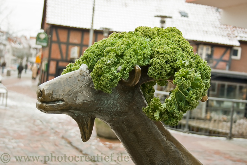 Ziege mit Parücke