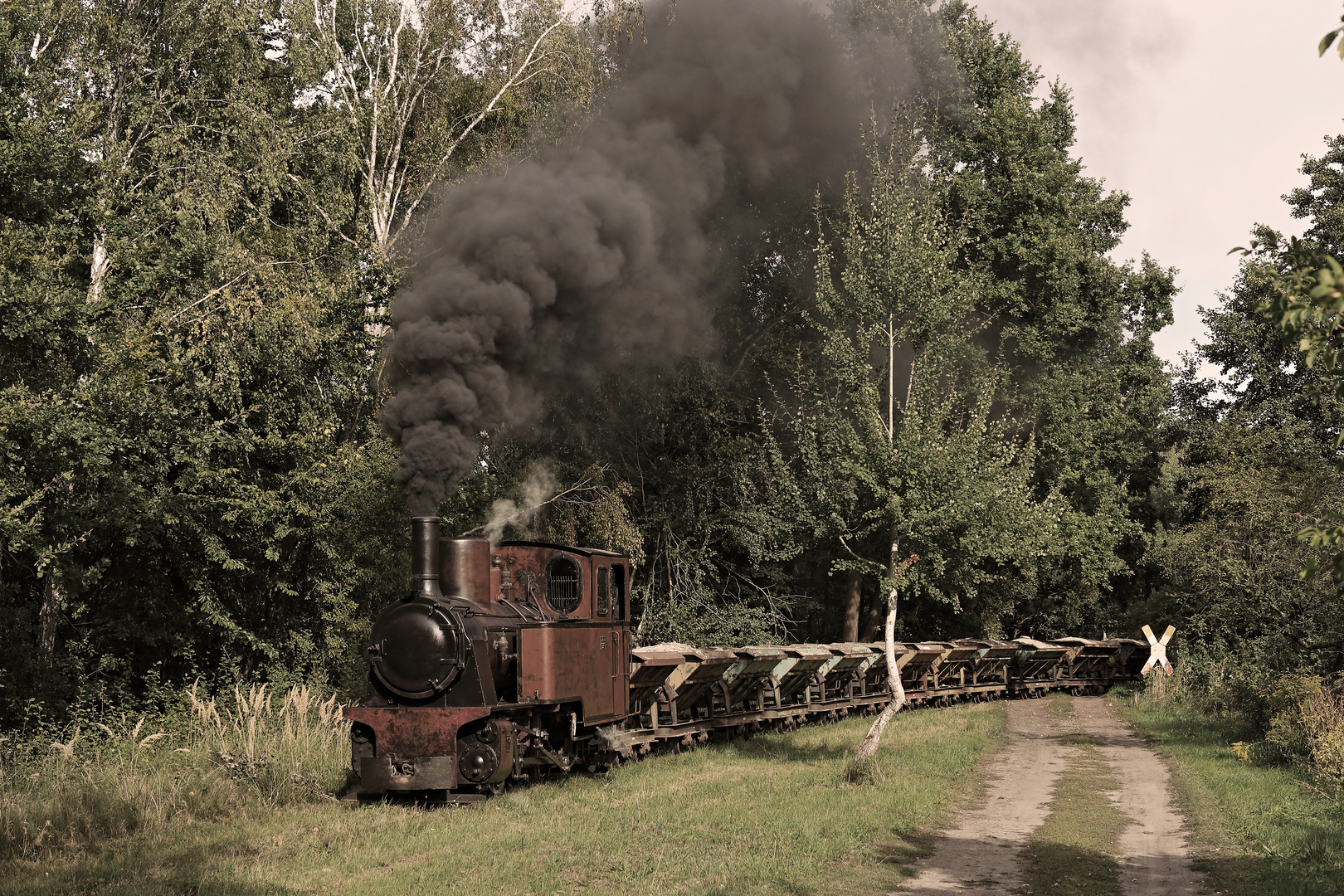 Ziegelei Mildenberg 06