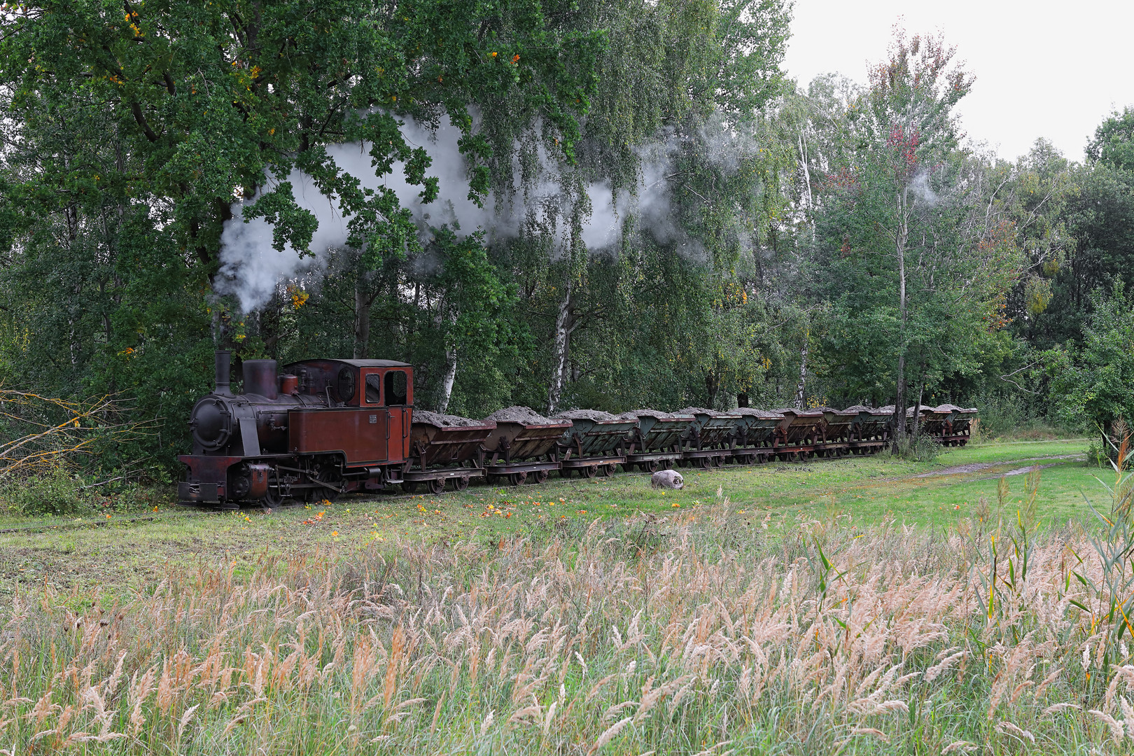 Ziegeleibahn Mildenberg 04