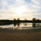 Ziegeleipark Heilbronn-Böckingen Panorama See