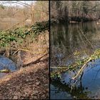 Ziegeleiwanderweg (3D  X-view Stereo  Kreuzblick) 