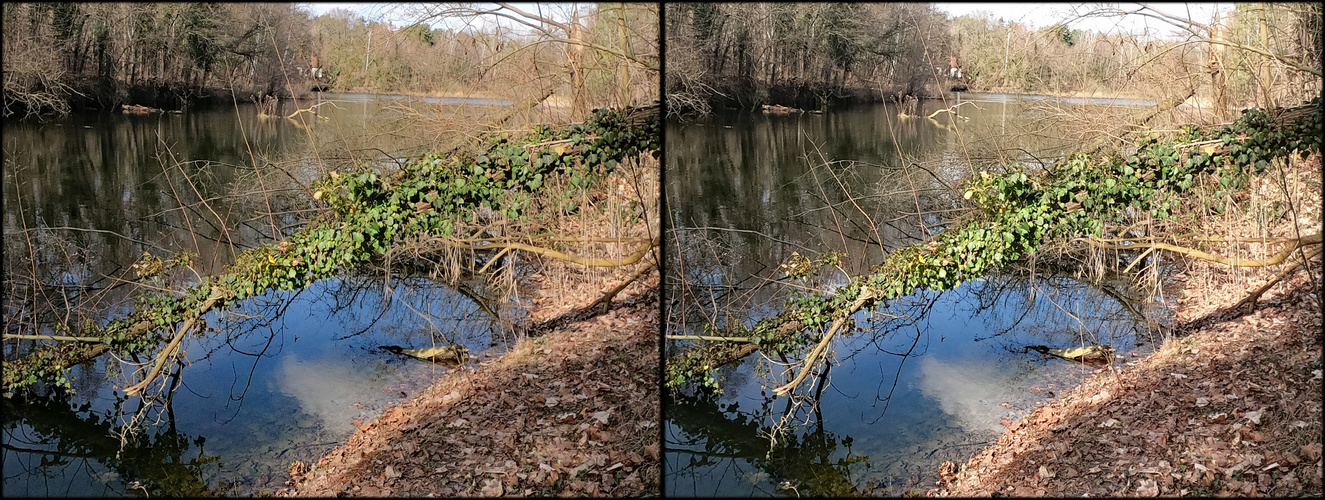 Ziegeleiwanderweg (3D  X-view Stereo  Kreuzblick) 