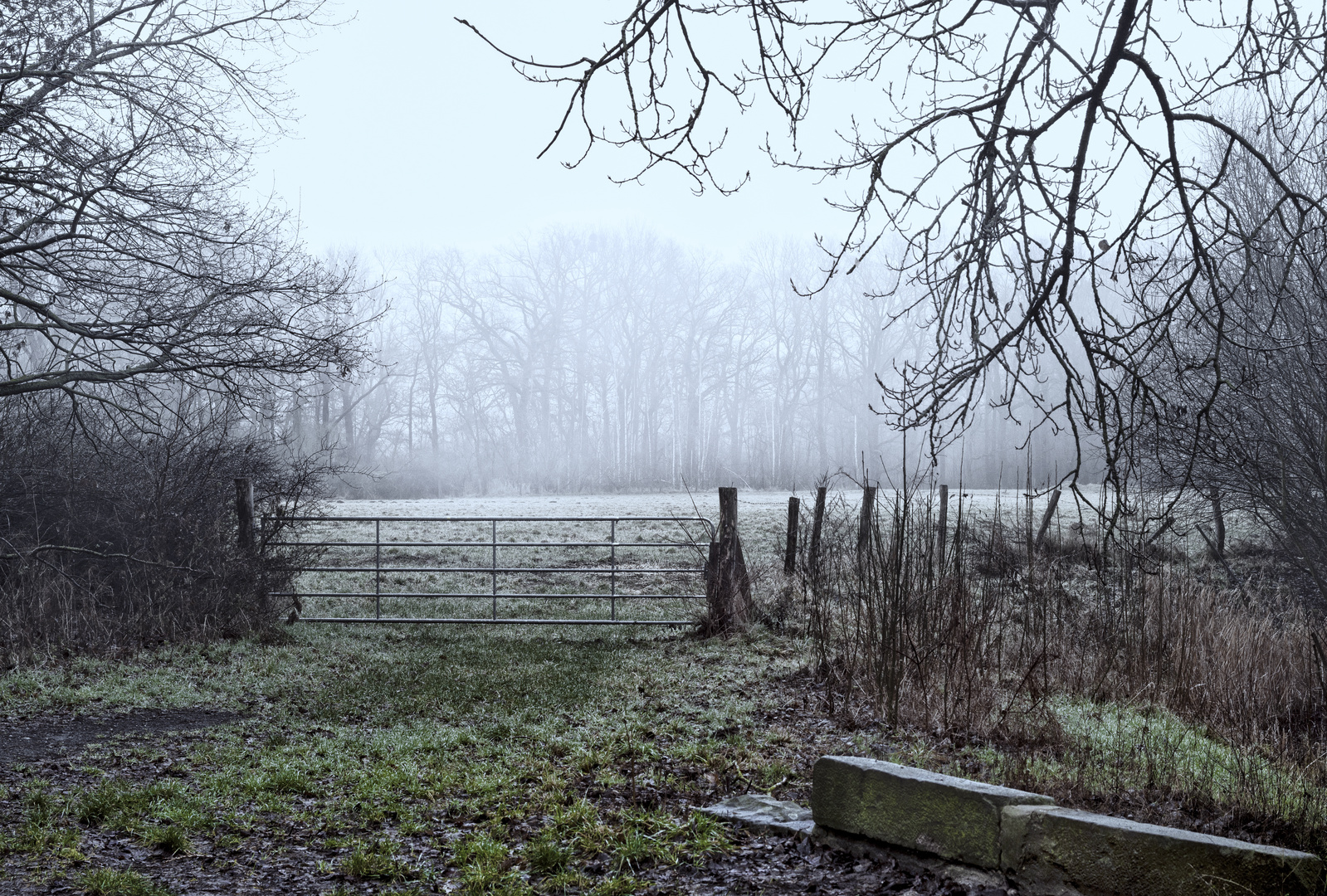 Ziegelkamp am Wintermorgen