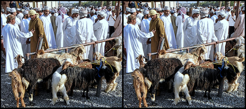 Ziegenmarkt in Nizwa/Oman