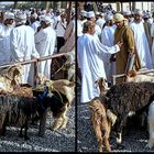 Ziegenmarkt in Nizwa/Oman