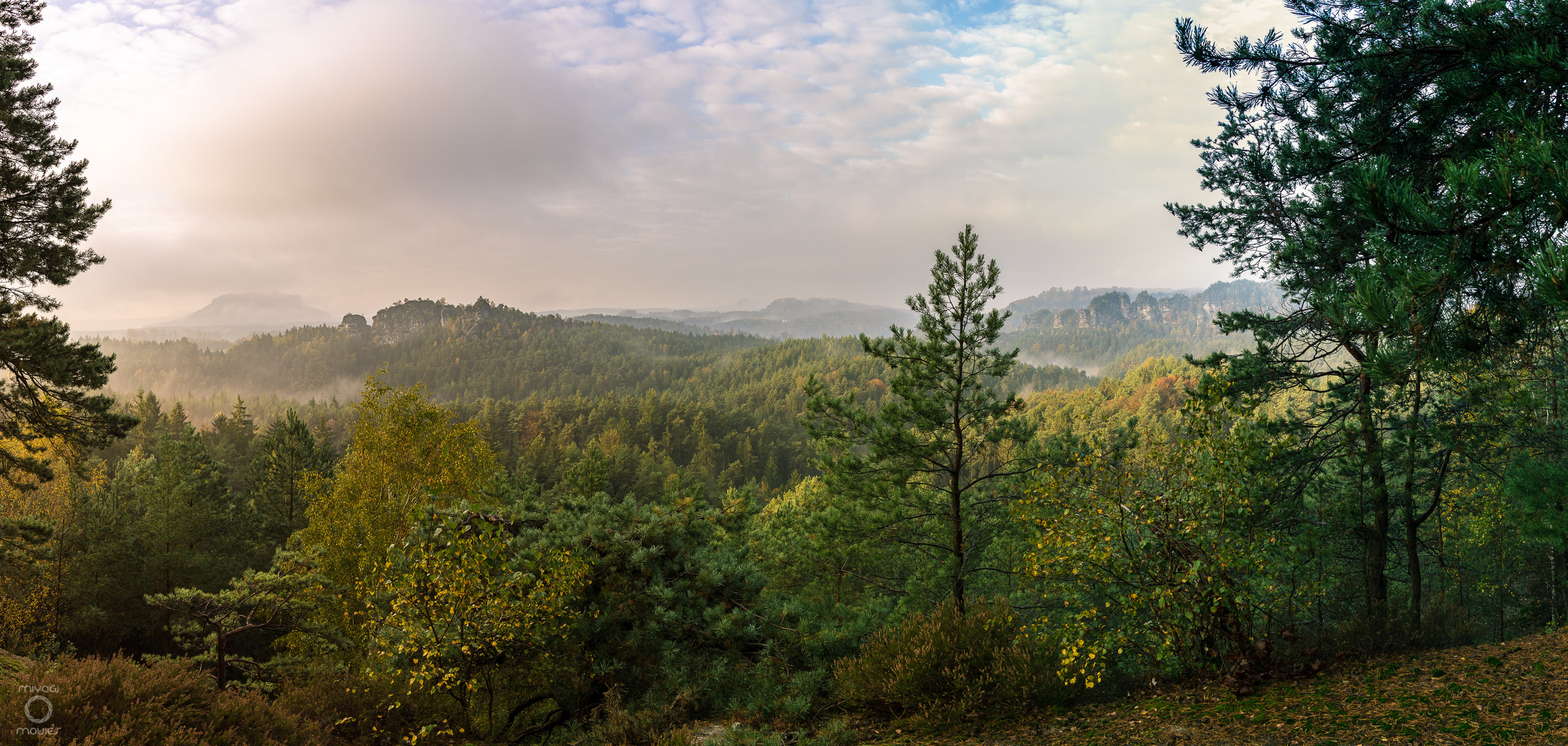 *Ziegenrückenpanorama*