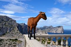 Ziegenshooting auf Formentor