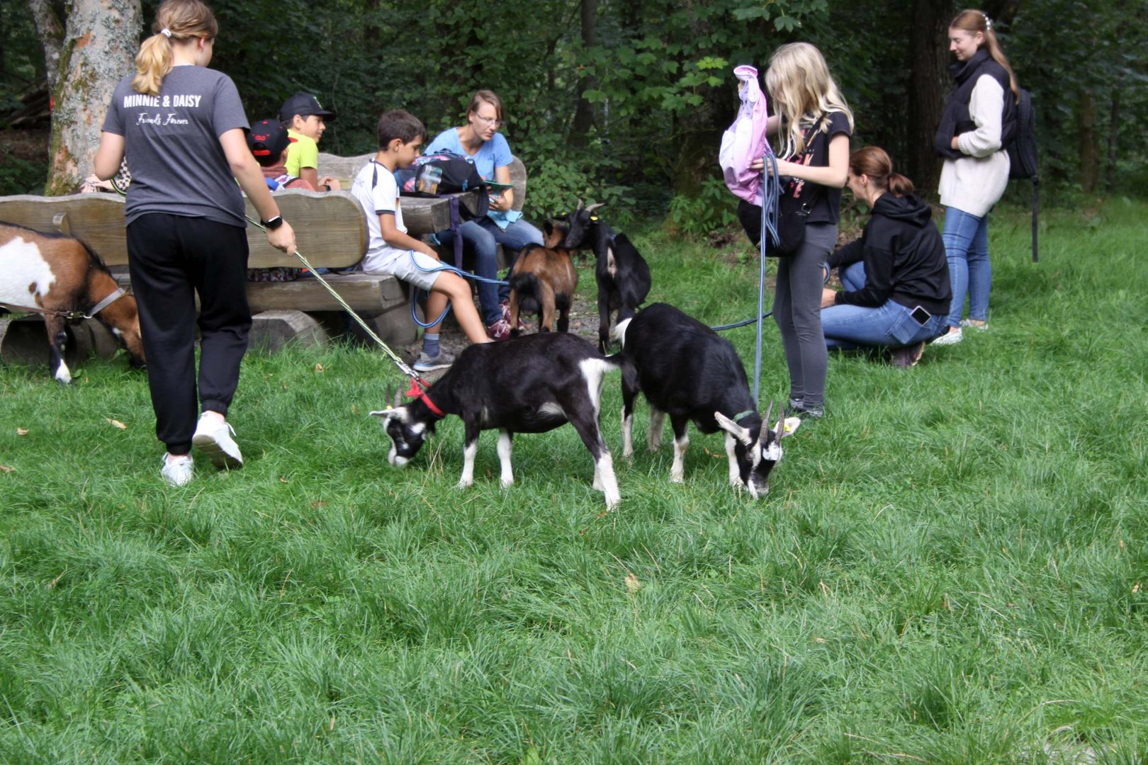 Ziegenwandern am Donnersberg 