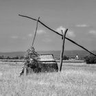 Ziehbrunnen in der Grassteppe