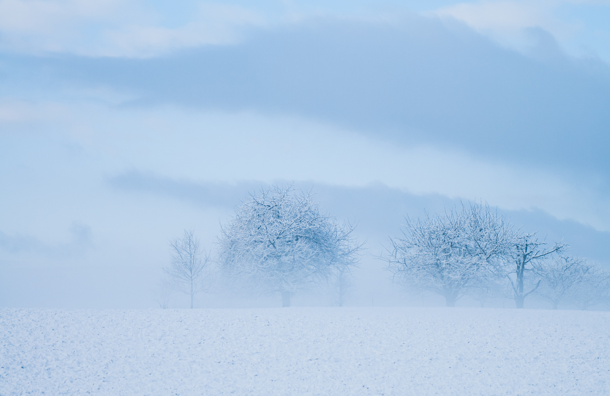 Ziehende Nebel