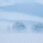 Ziehende Nebel